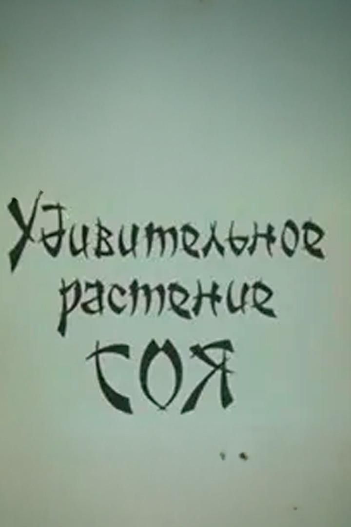 Удивительное растение соя