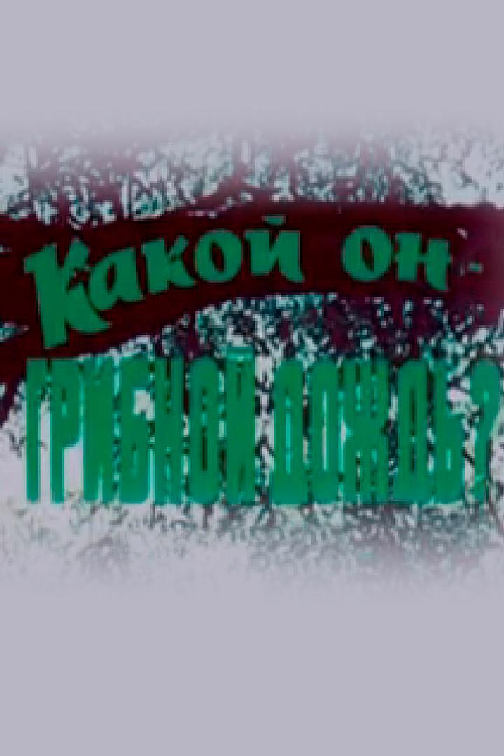 Какой он - грибной дождь?