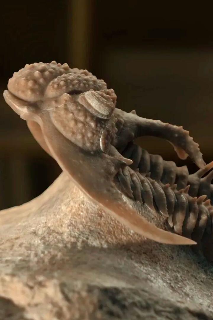 Россия - пути времени