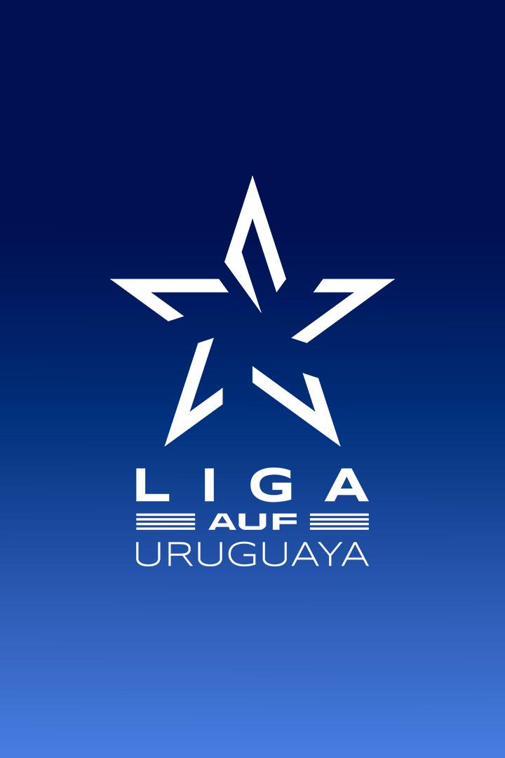 Футбол Уругвай. Лига AUF. Торнео Интермедио 2025 (летний чемпионат). Группа A. 4 тур. Плаза Колония - Серро