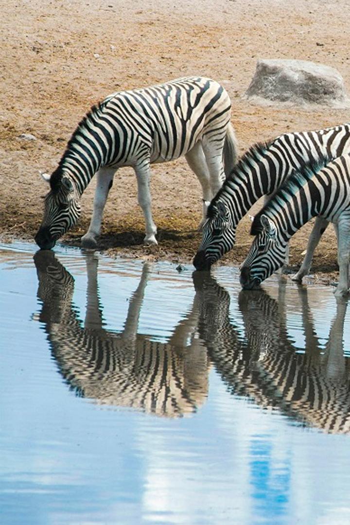 Количество имеет значение