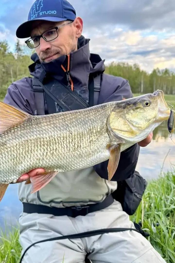 Охота на хищника