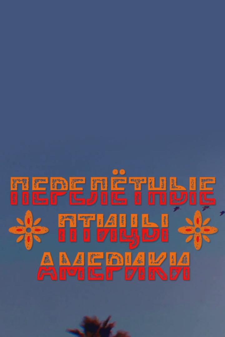 Перелётные птицы Америки