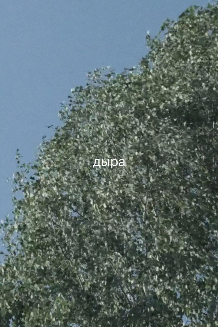 Дыра. Рассказ в девяти сценах