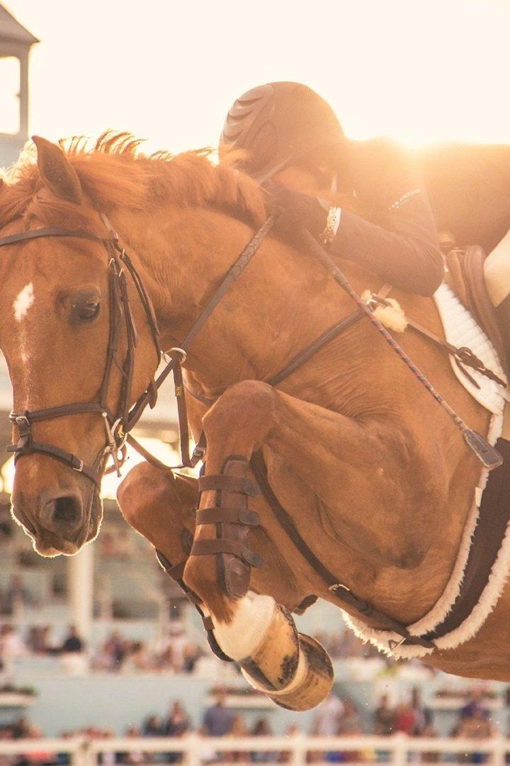 Конный спорт. Скачки. Трансляция из Нальчика
