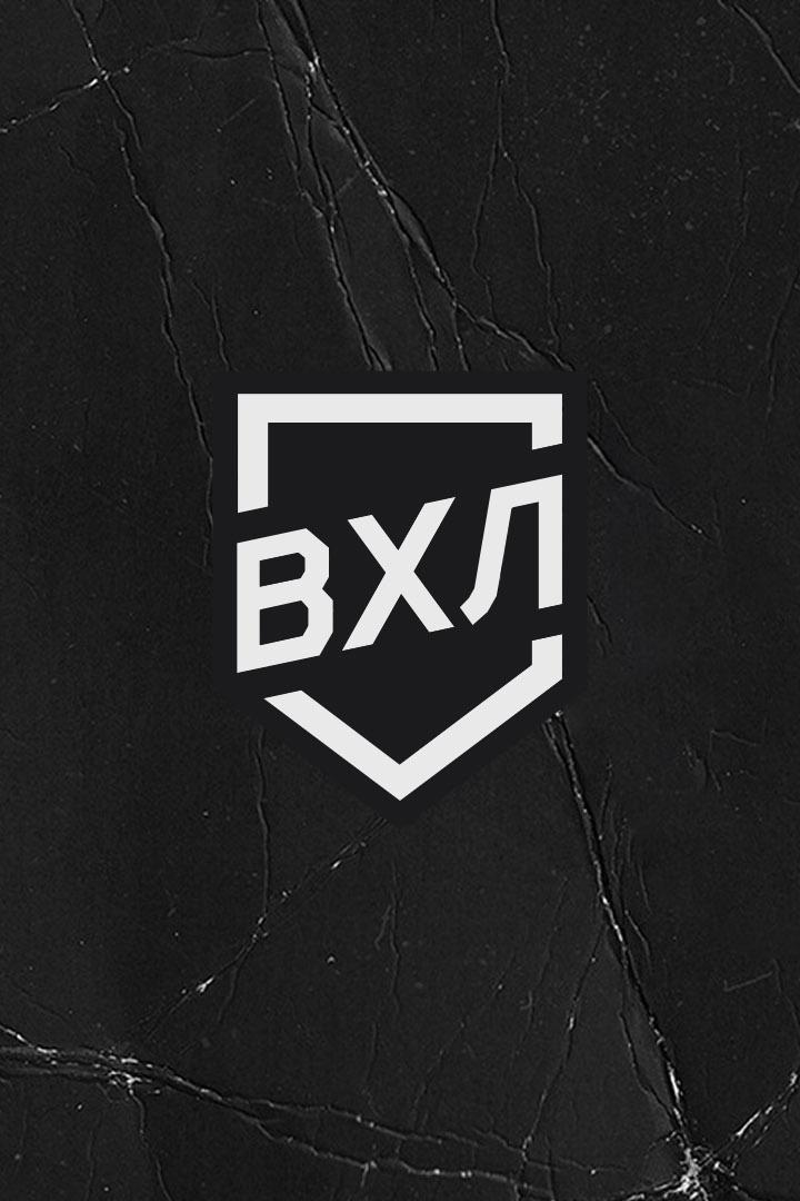 Хоккей. ВХЛ. Химик (Воскресенск) - Торпедо-Горький (Нижний Новгород). Финал. 1-й матч