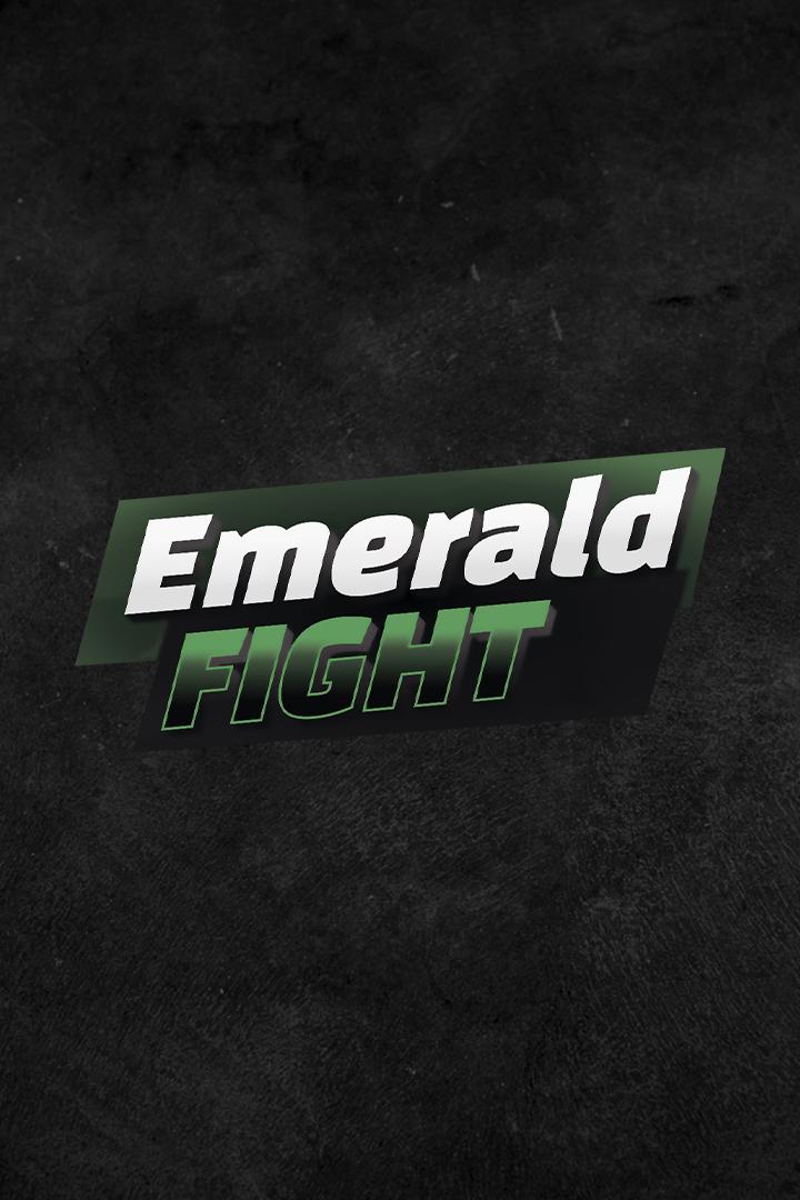 Единоборства. Emerald Fight Super Series 5