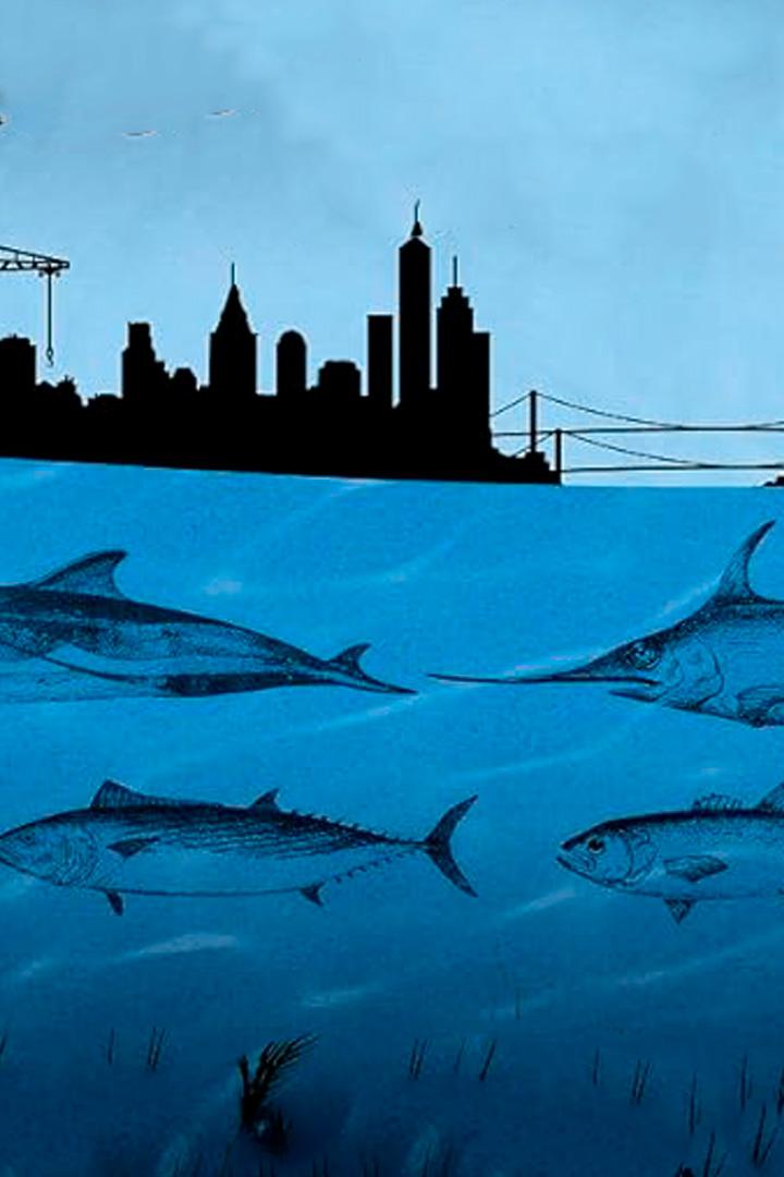 Рыба из Босфора