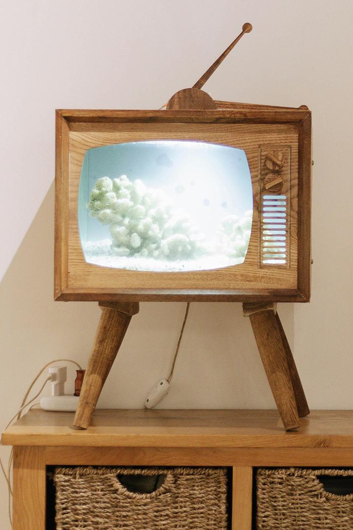 Животные-супергерои