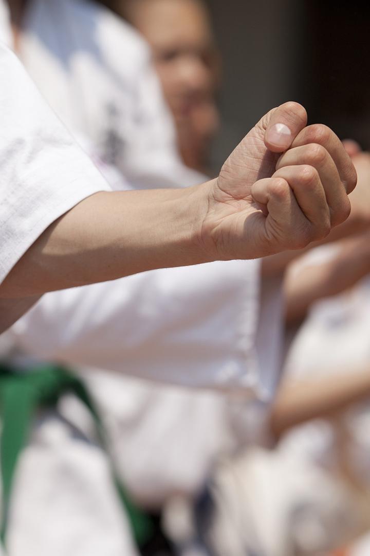 Карате всестилевое