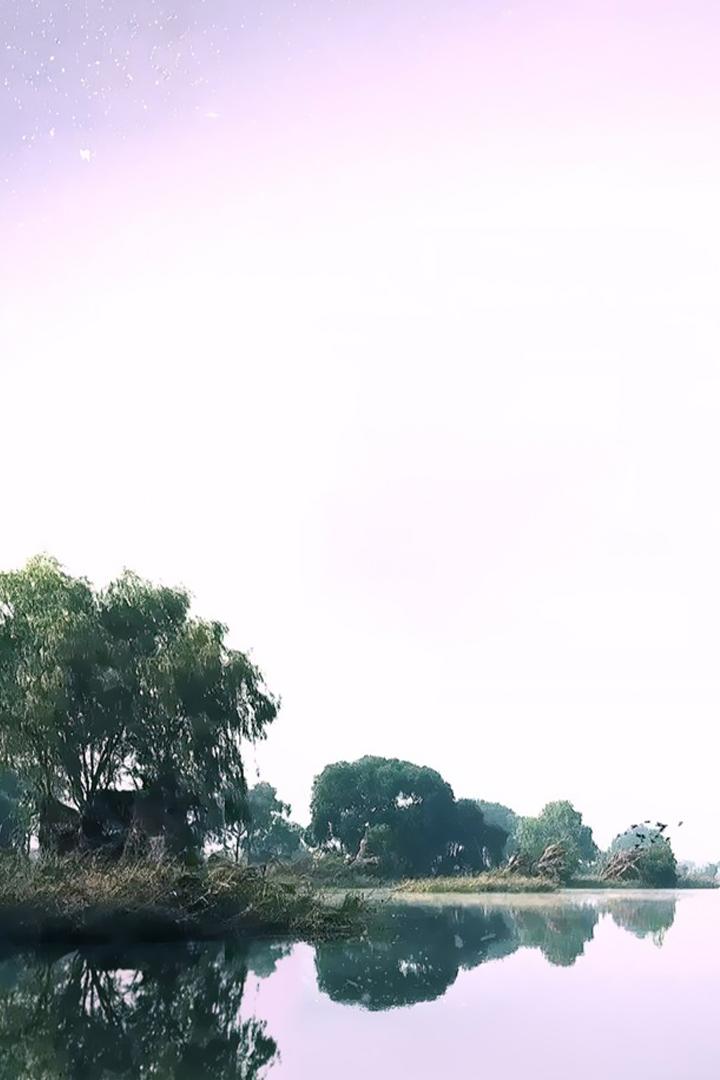 Болото Ансим. Разные времена года