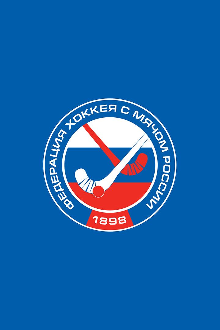 Хоккей с мячом. Суперлига. 1/2 финала. Водник - СКА-Нефтяник