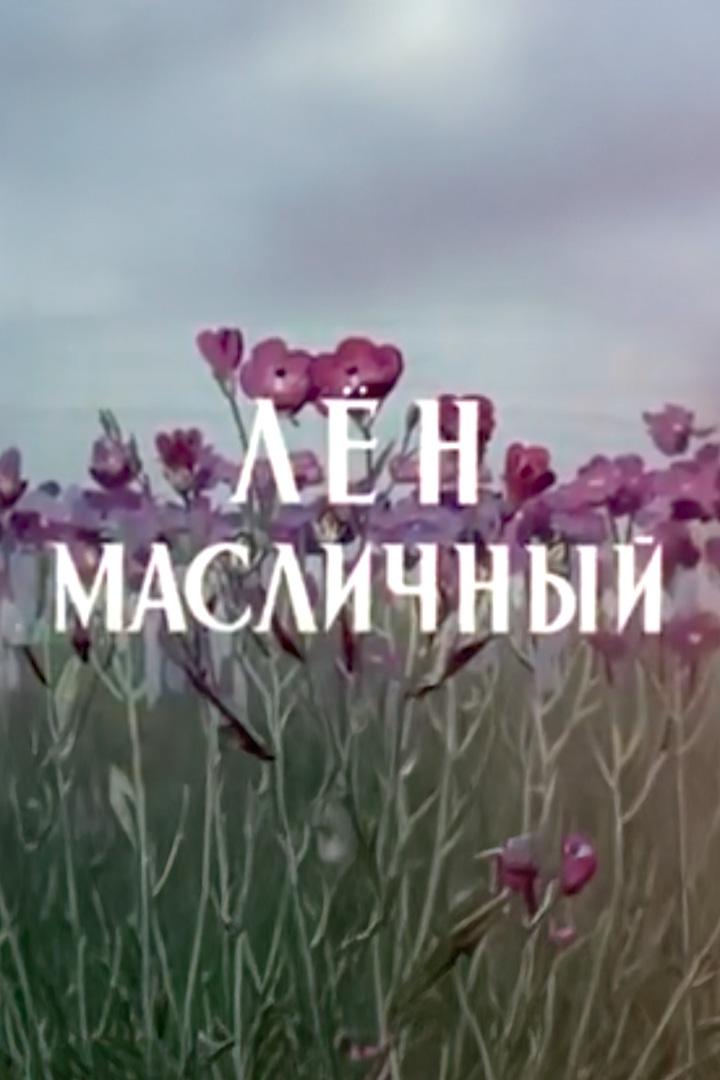 Лён масличный