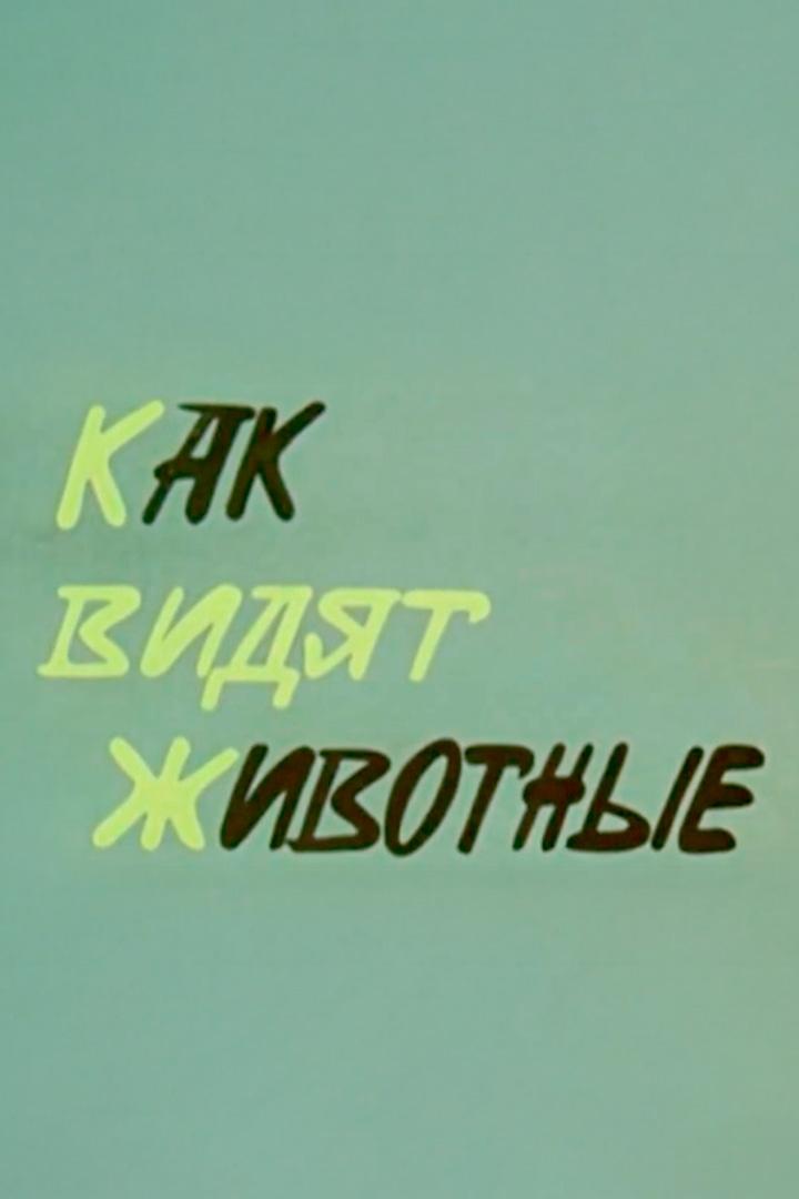 Как видят животные