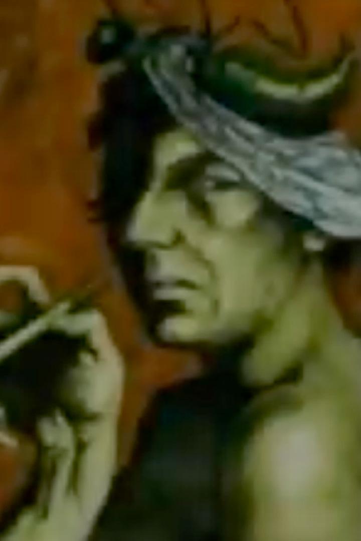 Портрет под мухой