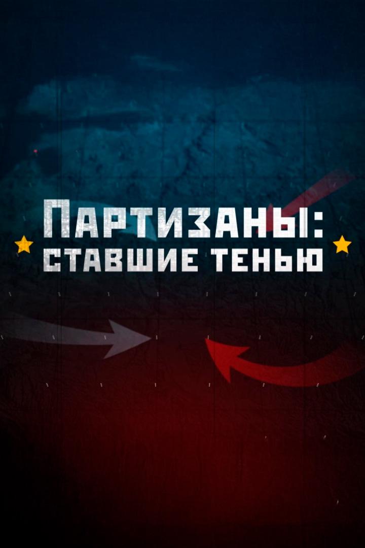 Партизаны: ставшие тенью