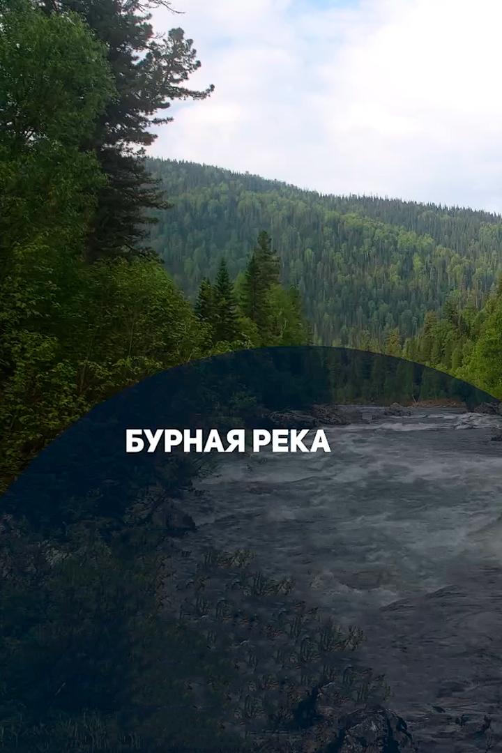 Бурная река