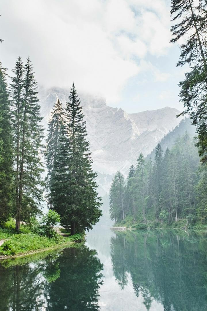 Средние ворота