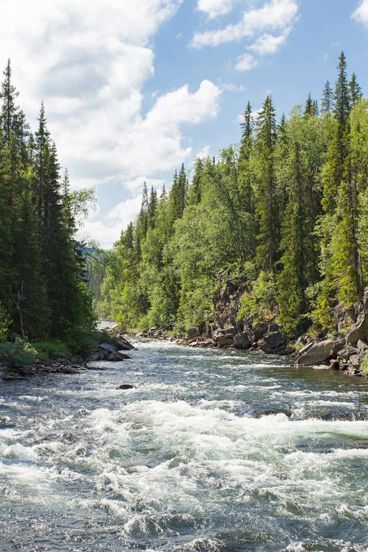 Окрестности устья реки Дурная
