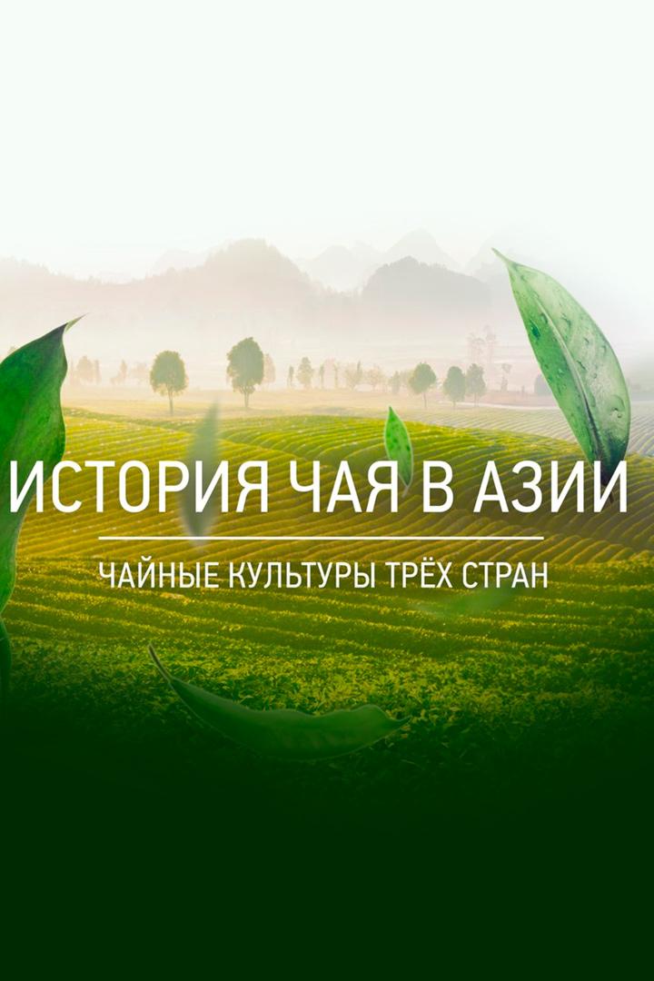 История чая в Азии. Чайные культуры трёх стран