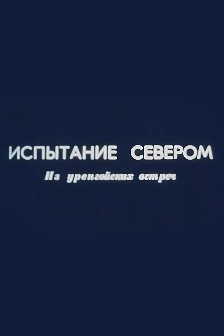 Испытание Севером. Из уренгойских встреч