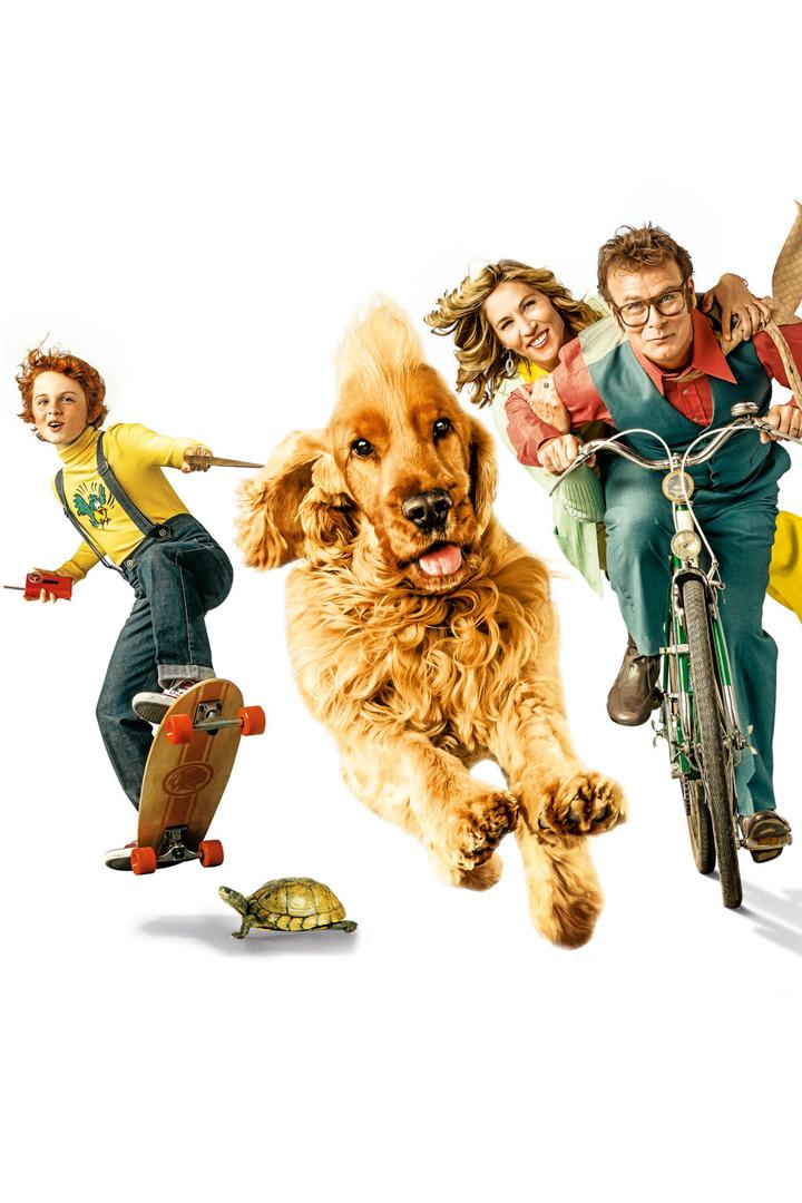 Рыжие против всех