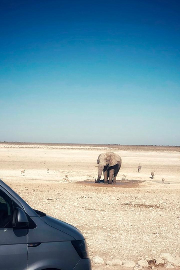 Этоша. Великая белая равнина