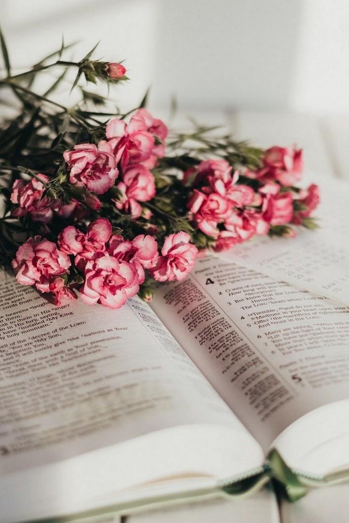 Горный серпантин