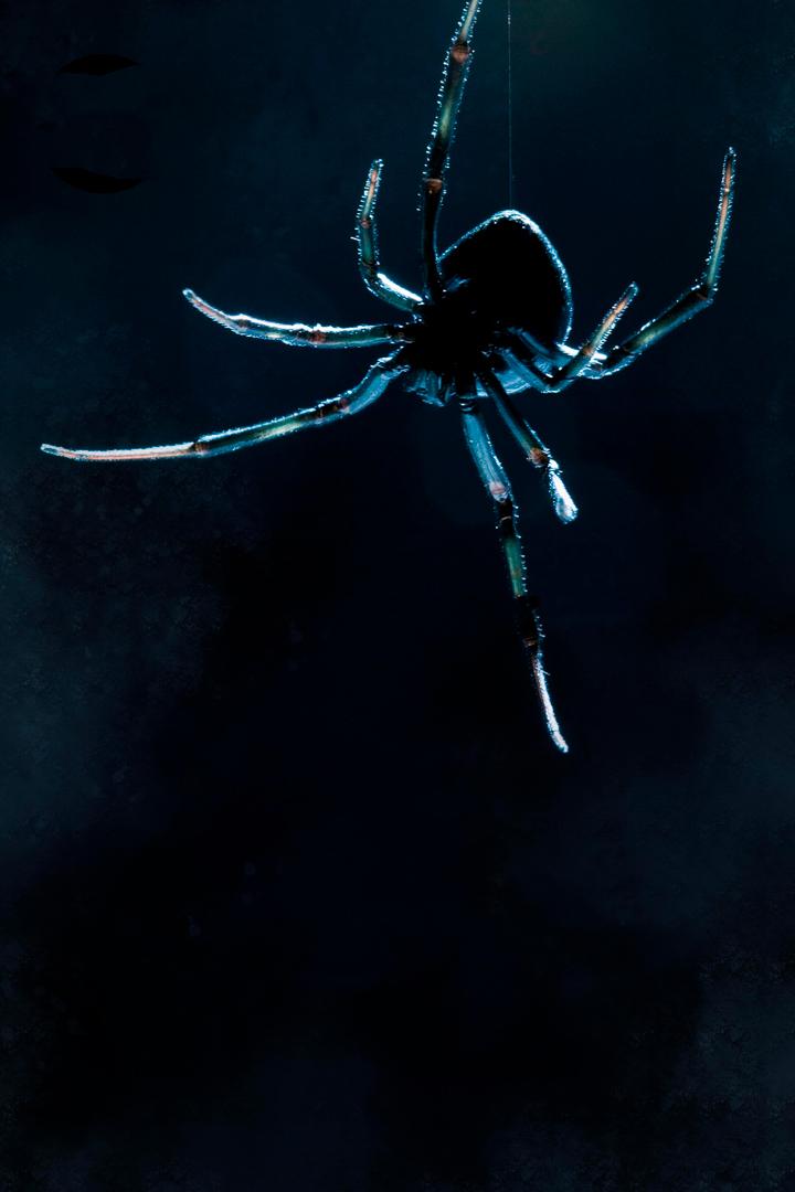 Дикие убийцы