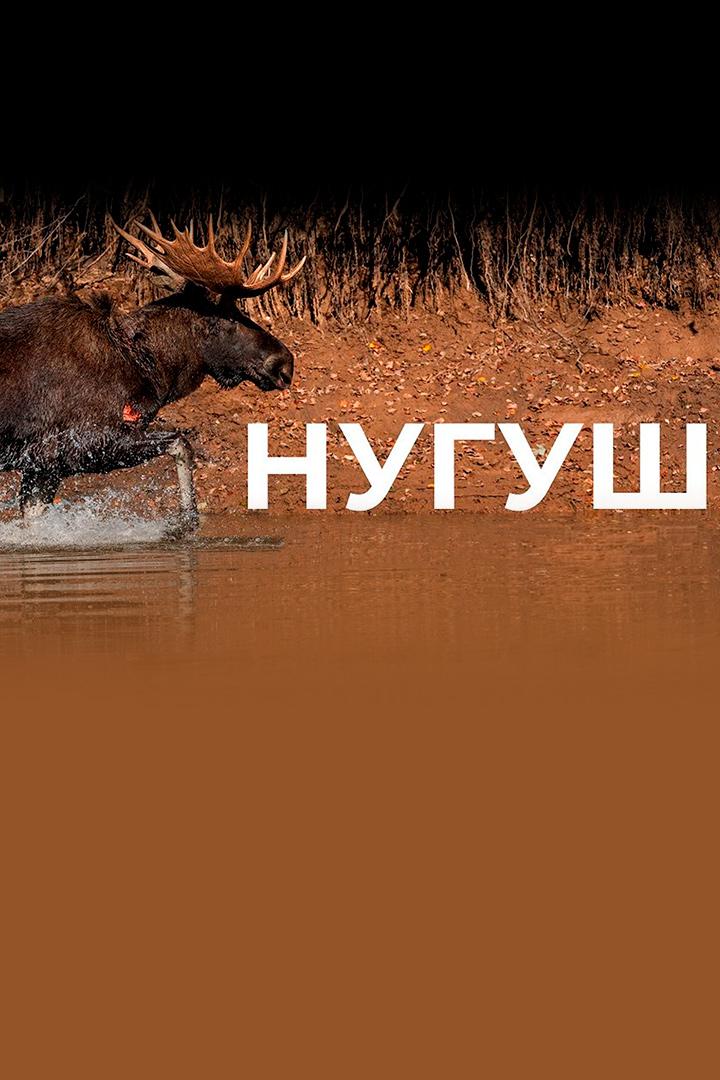 Нугуш. Вверх по течению - Олег Чегодаев