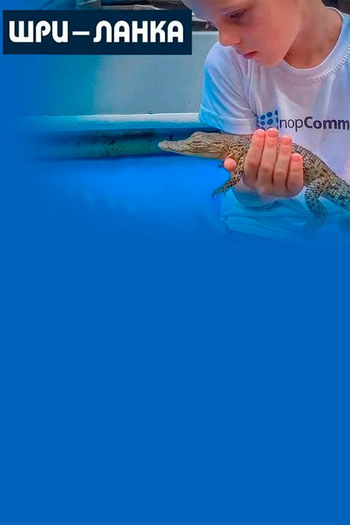 Шри-Ланка - Андрей Мазульницын