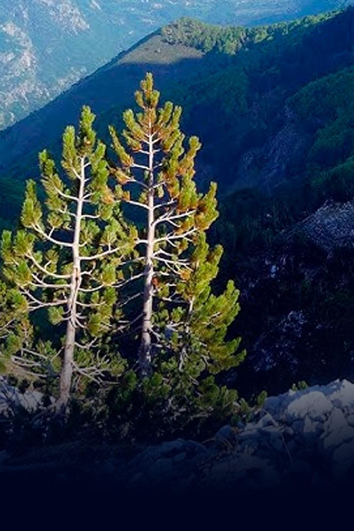 Вокруг света пешком. Албания. Тропа Виа Динарица - Валерий Шанин.