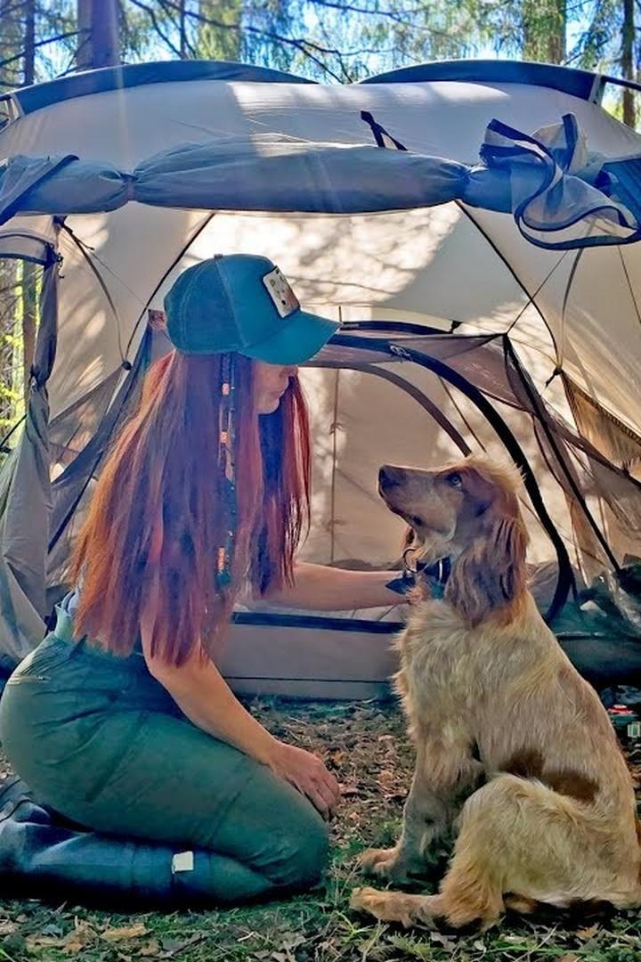 Поход с Диксоном - Дорожный бродяга