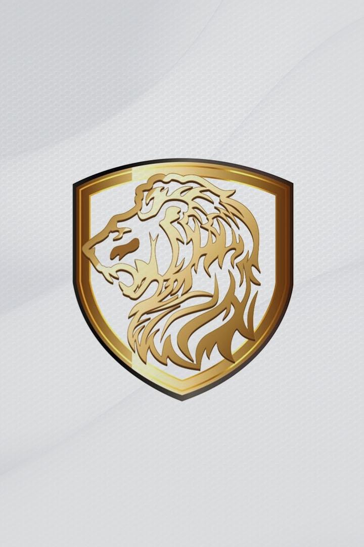 Бокс. Шамо боксинг. 100-й турнир