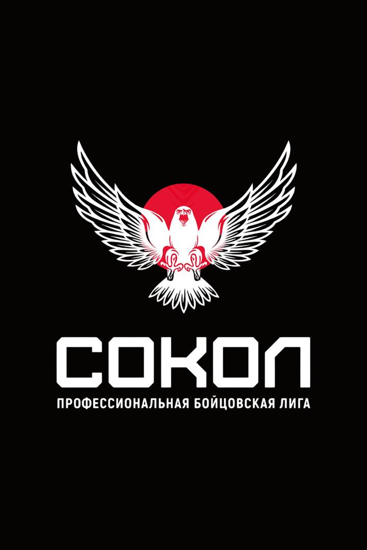 Смешанные единоборства. Бойцовская лига "Сокол". Виктор Немков против Джуниора Альбини. Давид Бархударян против Михаила Рагозина. Трансляция из Красно