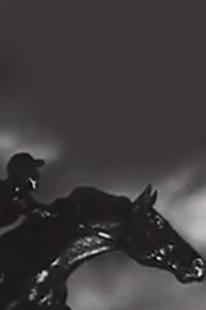 На всеармейских конно-спортивных соревнованиях