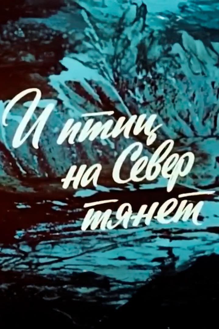 И птиц на Север тянет