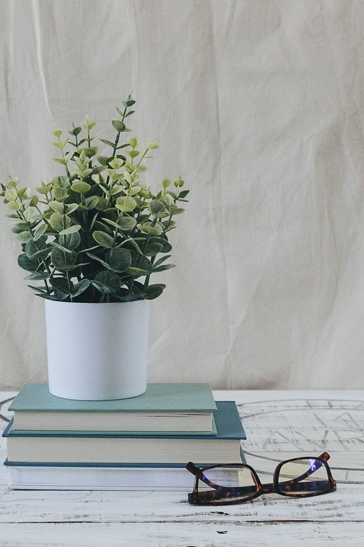 Фламинго - птицы цвета заката