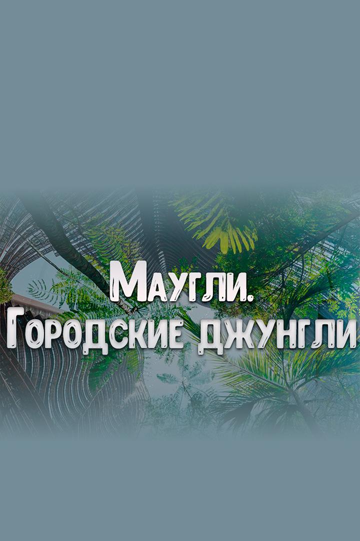 Маугли. Городские джунгли