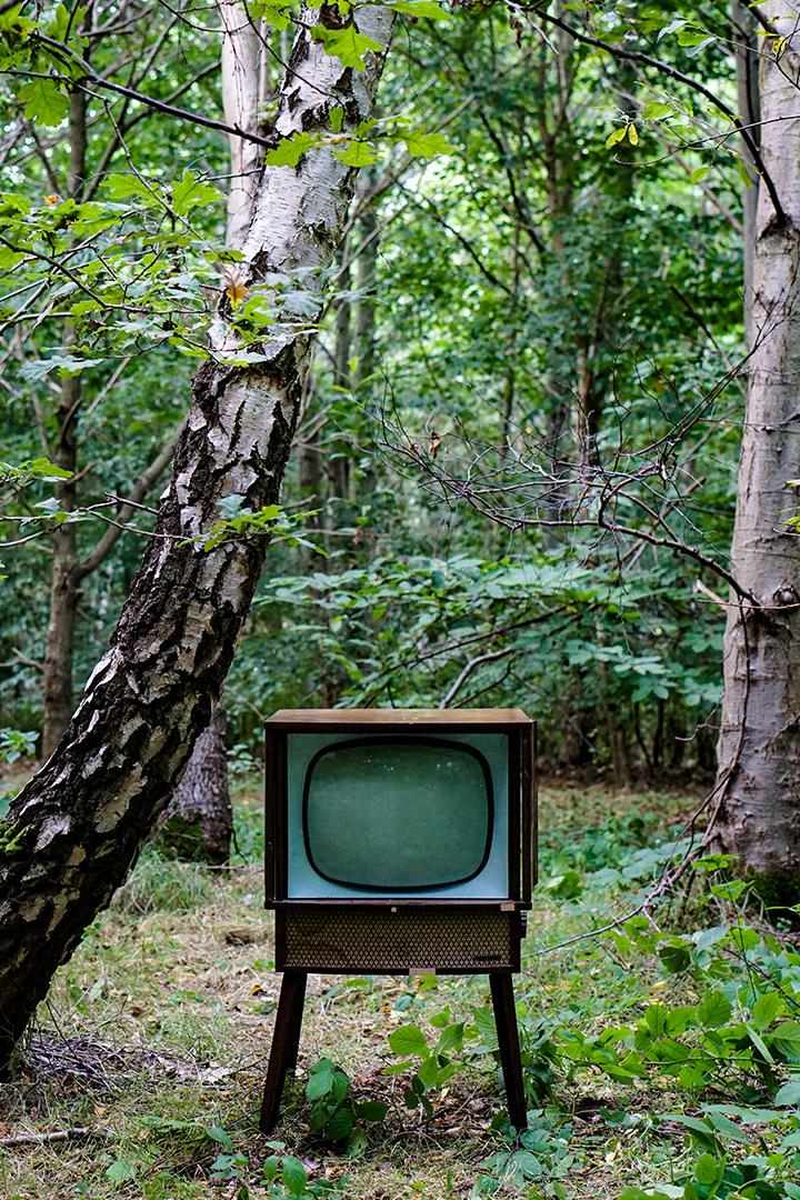 Заповедное путешествие