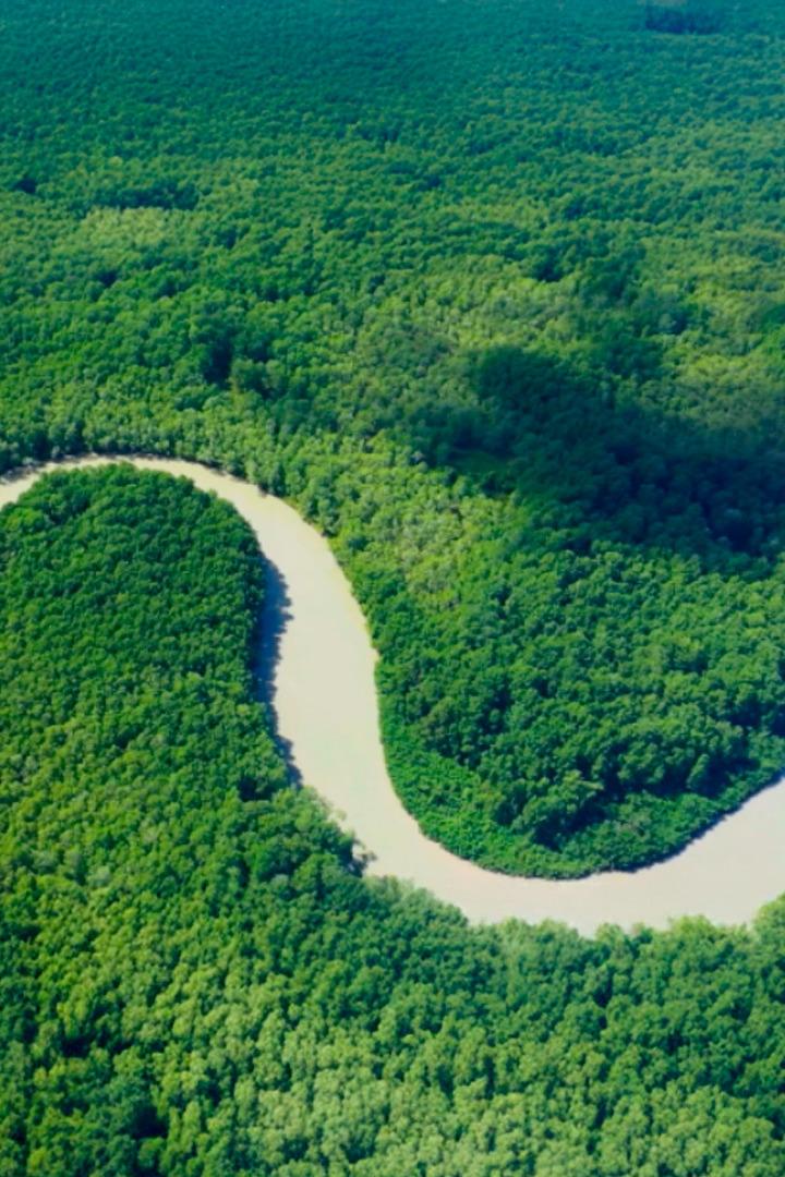 Сады чистой воды