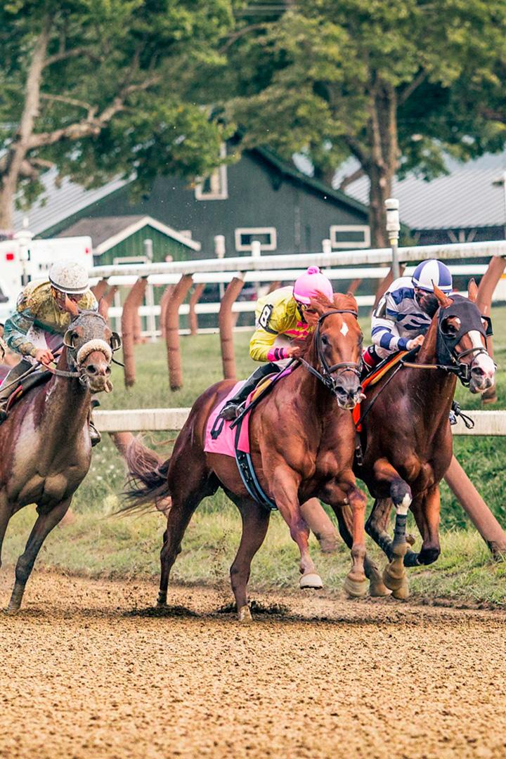 Скачки. День конного завода "Донской". 2022 год. Трансляция из Москвы