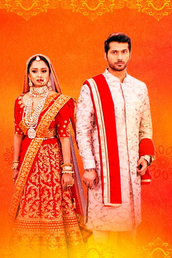 Спутник моей жизни