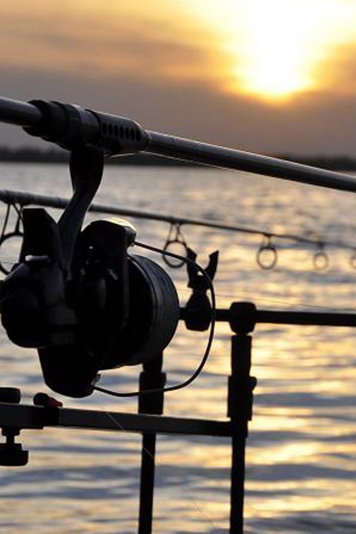 Карпфишинг