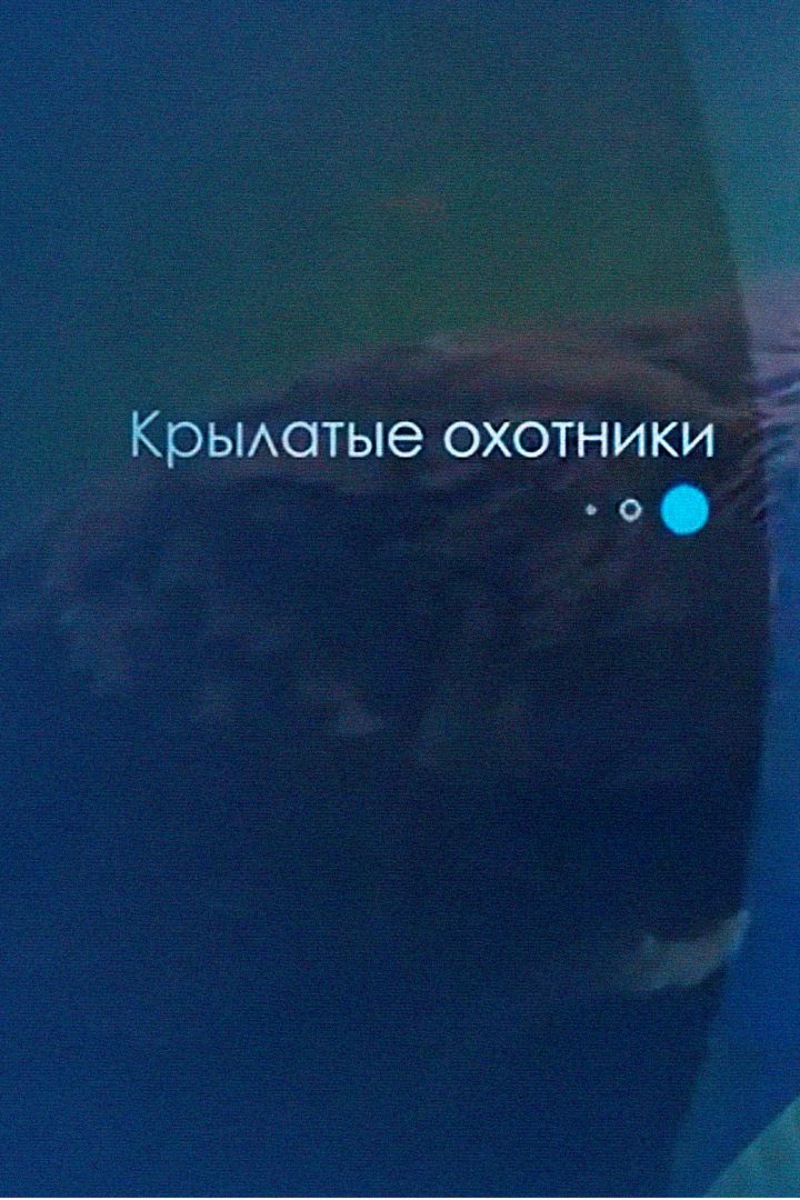 Крылатые охотники