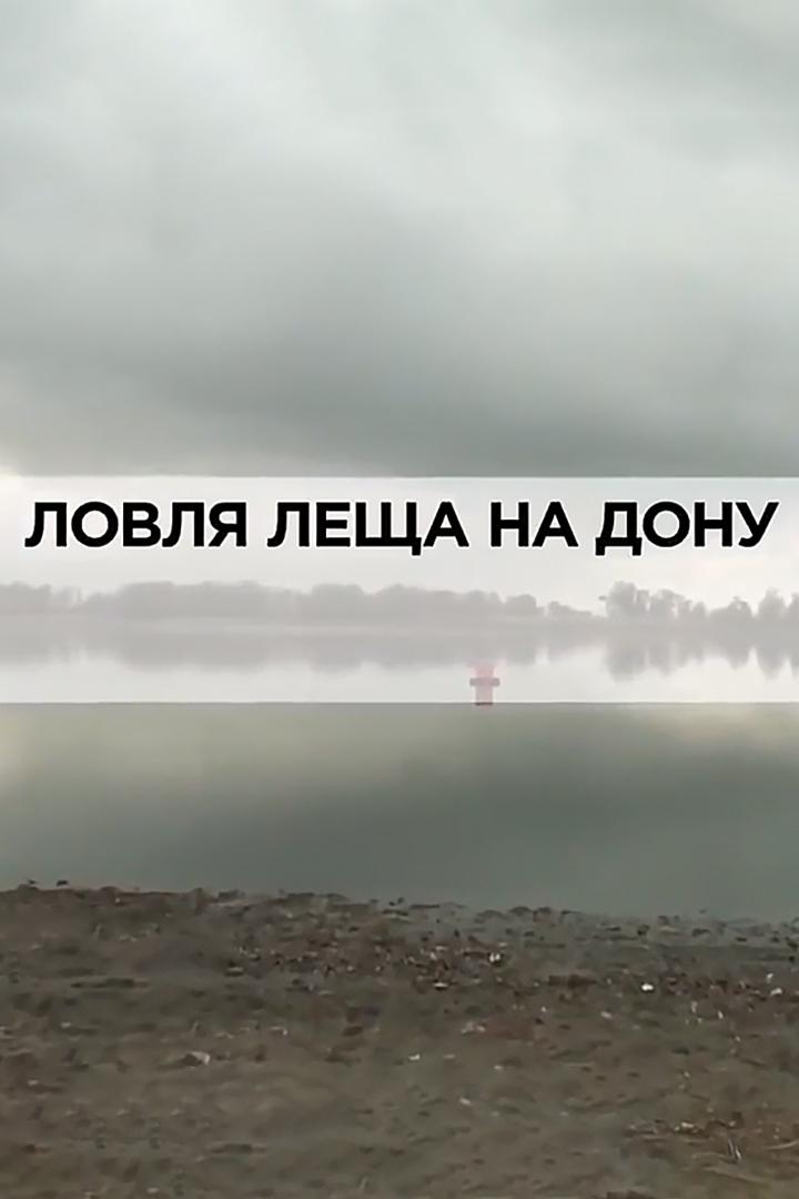 Ловля леща на Дону