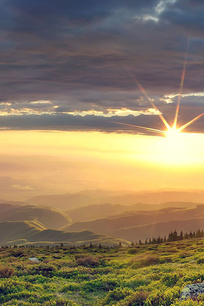 Магия природы