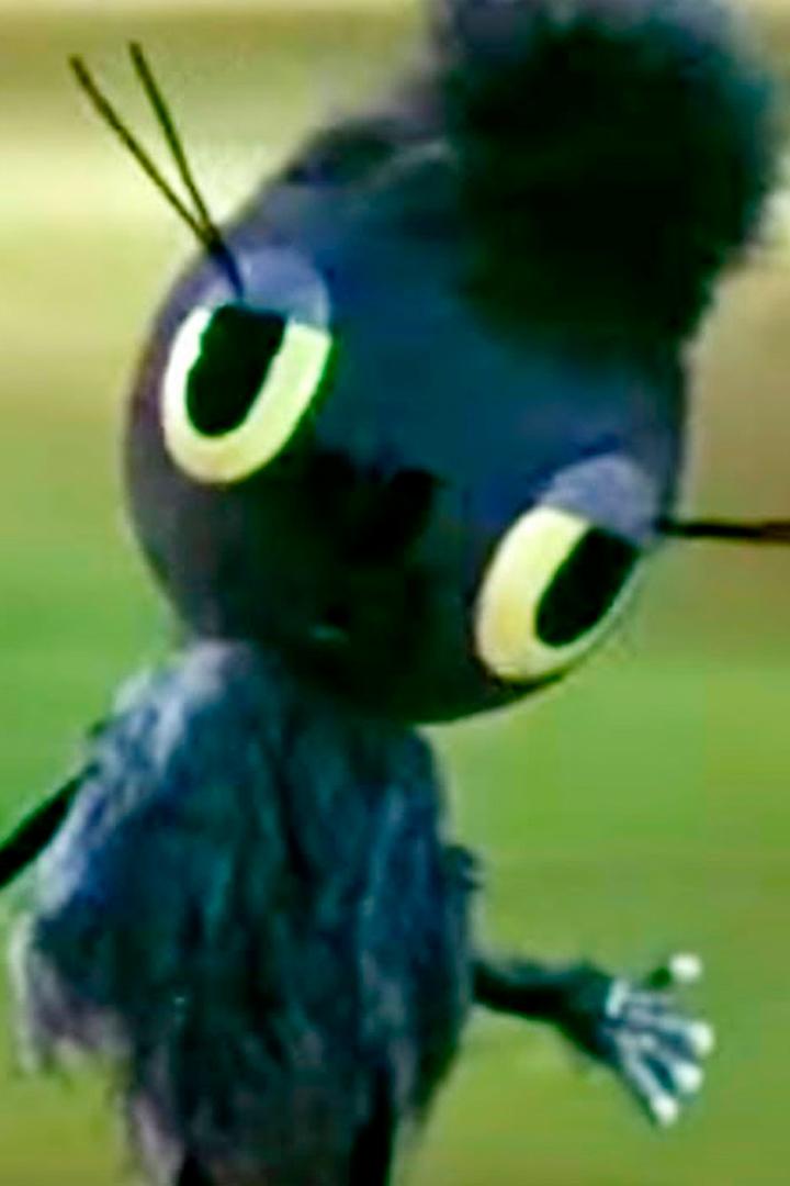 Про паучка, с которым никто не дружил