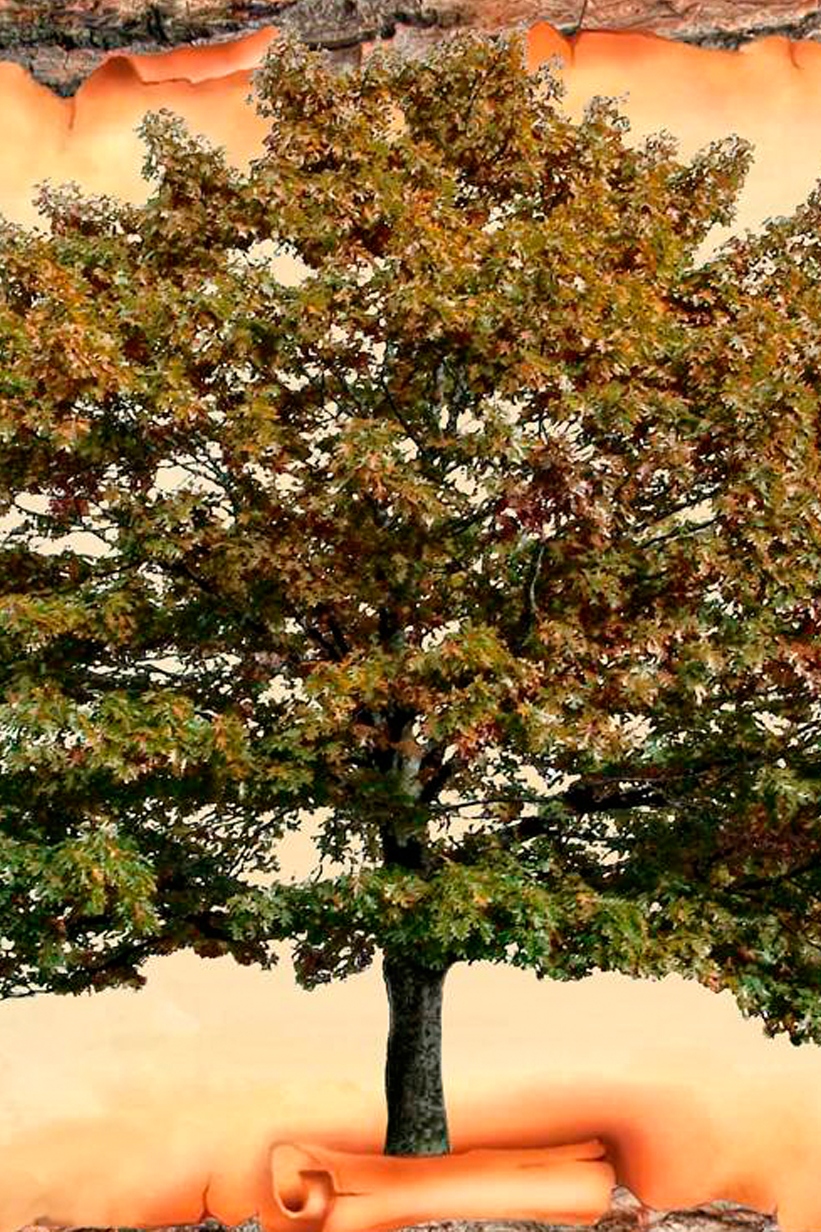 Российские династии