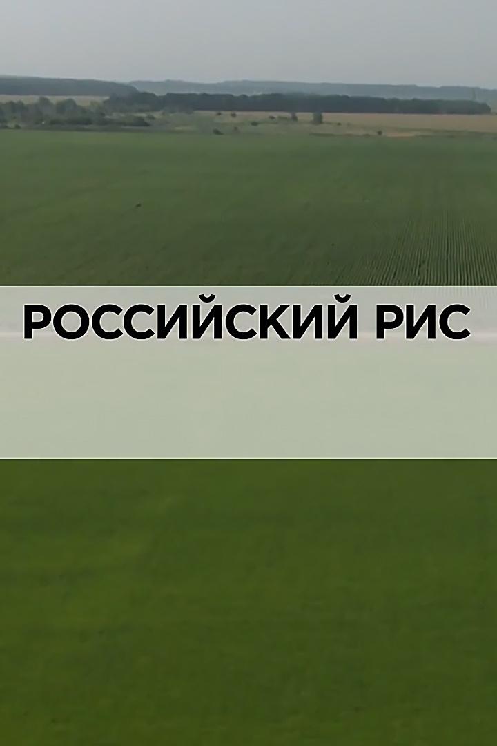 Российский рис